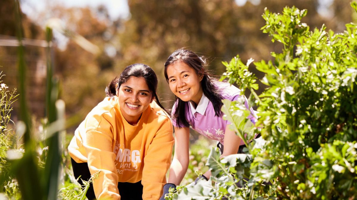 Two international students at ANU garden together at the ANU Kitchen Garden.