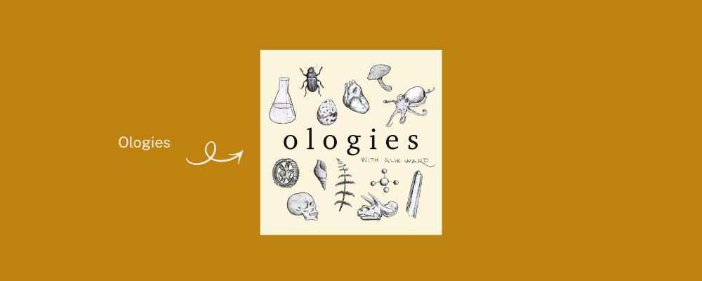 The logo of the Ologies podcast set against the ANU brand colours.