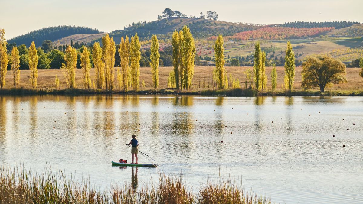 A woman on a stand up paddle board on Lake Burley Griffin seen from Weston Park